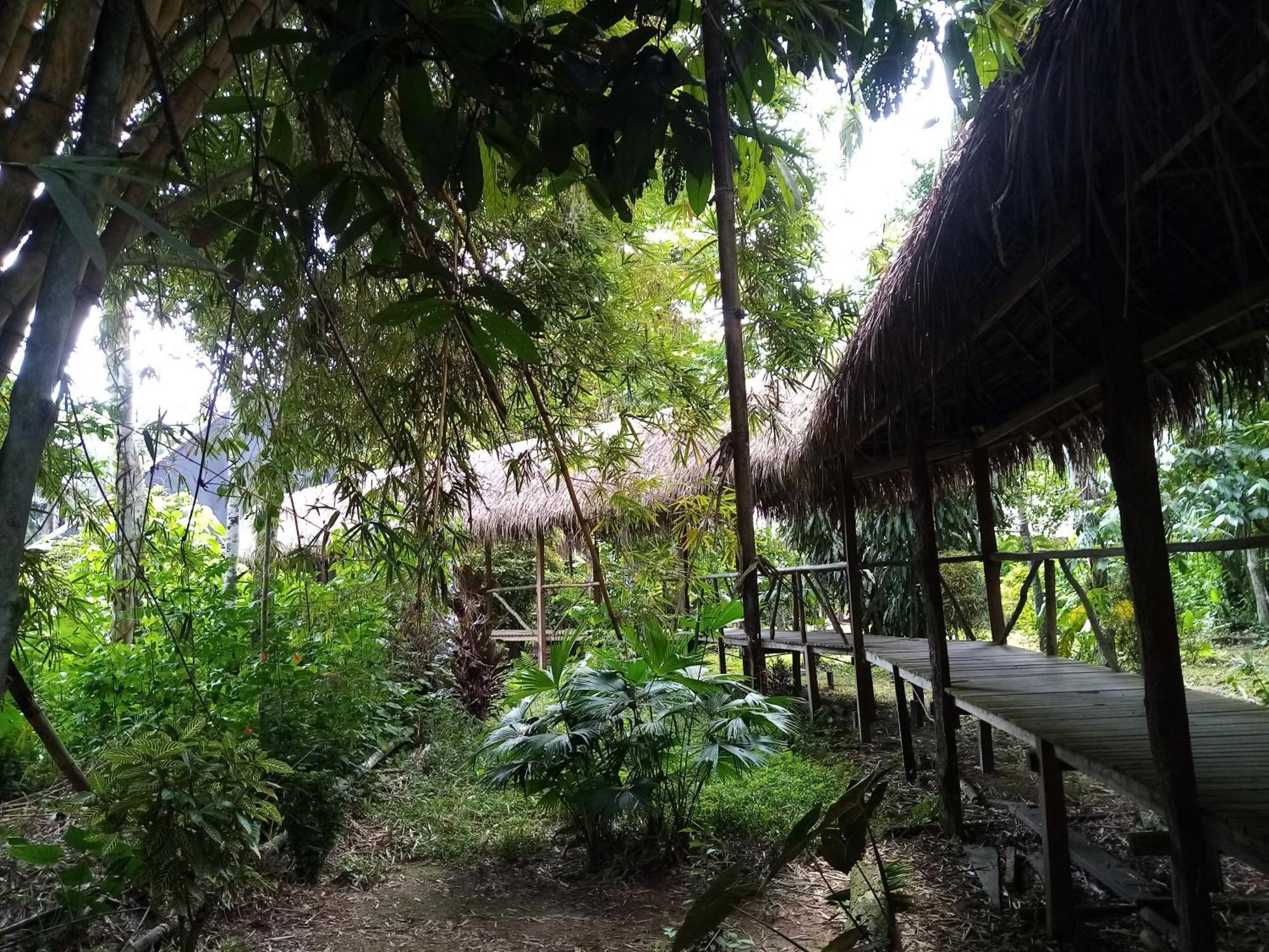 Inotawa Lodge Tambopata Dış mekan fotoğraf
